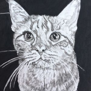 Meet your Posher, Sheri